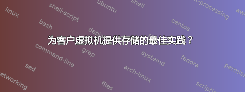 为客户虚拟机提供存储的最佳实践？