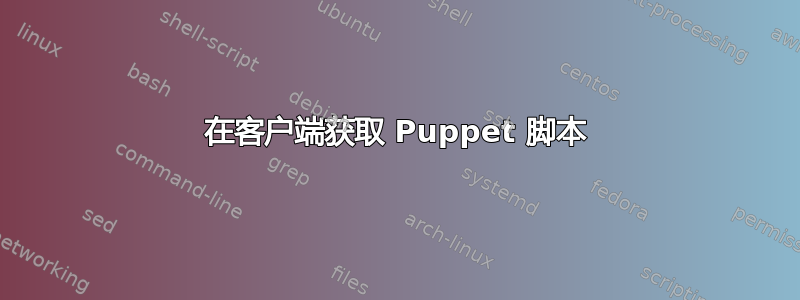 在客户端获取 Puppet 脚本