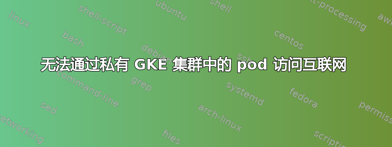 无法通过私有 GKE 集群中的 pod 访问互联网