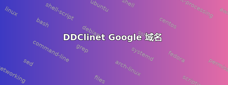 DDClinet Google 域名
