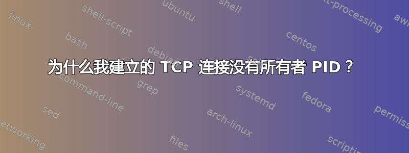 为什么我建立的 TCP 连接没有所有者 PID？