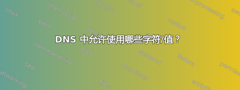 DNS 中允许使用哪些字符/值？