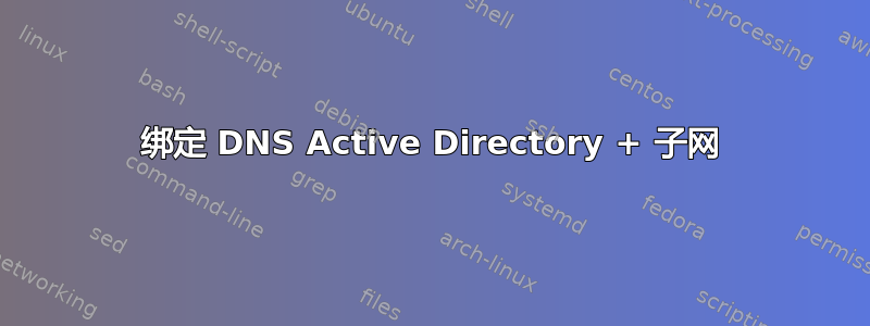 绑定 DNS Active Directory + 子网