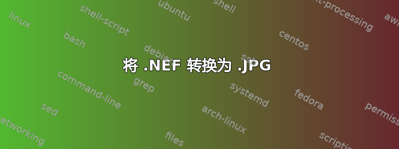 将 .NEF 转换为 .JPG