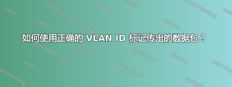 如何使用正确的 VLAN ID 标记传出的数据包？