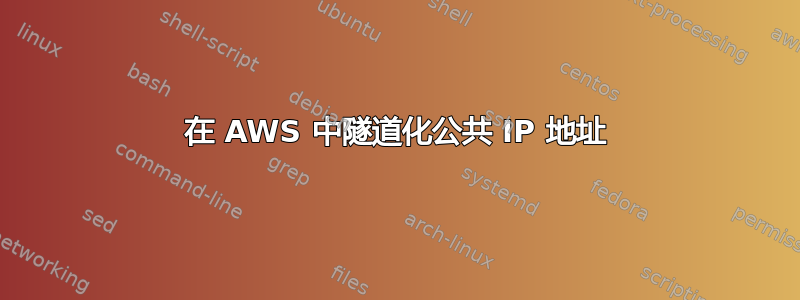 在 AWS 中隧道化公共 IP 地址