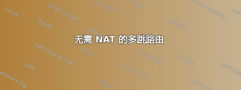 无需 NAT 的多跳路由