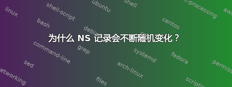 为什么 NS 记录会不断随机变化？