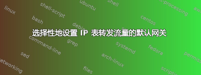 选择性地设置 IP 表转发流量的默认网关