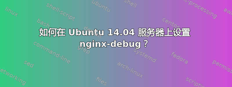 如何在 Ubuntu 14.04 服务器上设置 nginx-debug？