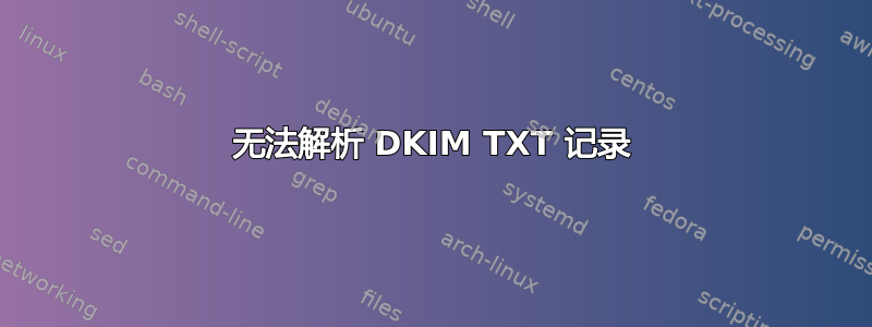 无法解析 DKIM TXT 记录