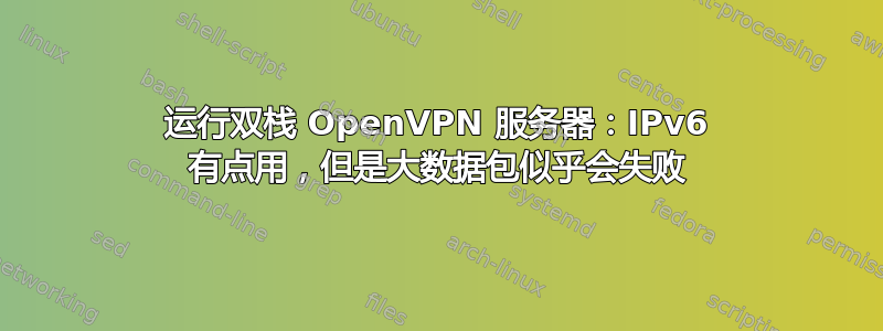 运行双栈 OpenVPN 服务器：IPv6 有点用，但是大数据包似乎会失败