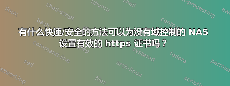 有什么快速/安全的方法可以为没有域控制的 NAS 设置有效的 https 证书吗？