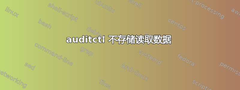 auditctl 不存储读取数据