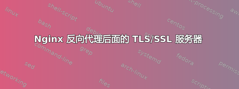 Nginx 反向代理后面的 TLS/SSL 服务器