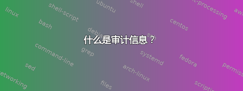 什么是审计信息？