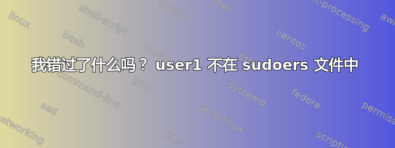 我错过了什么吗？ user1 不在 sudoers 文件中