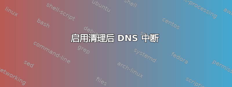 启用清理后 DNS 中断