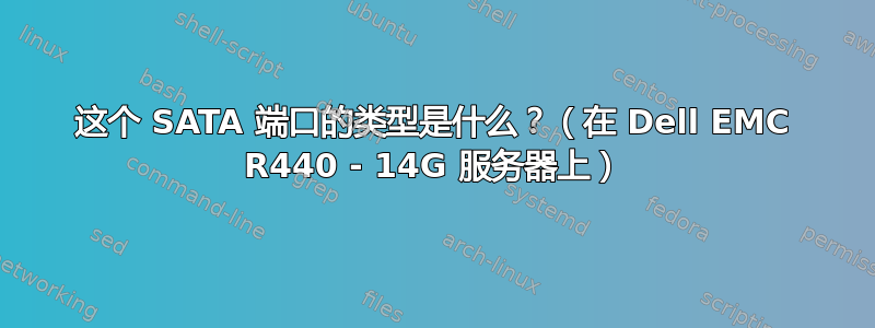 这个 SATA 端口的类型是什么？（在 Dell EMC R440 - 14G 服务器上）