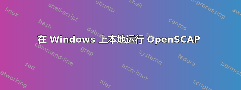 在 Windows 上本地运行 OpenSCAP