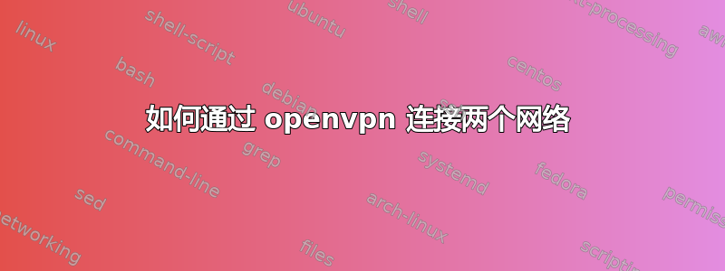 如何通过 openvpn 连接两个网络