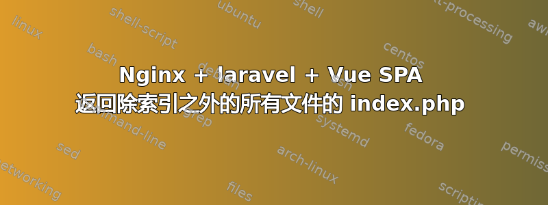 Nginx + laravel + Vue SPA 返回除索引之外的所有文件的 index.php