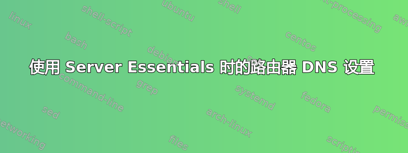 使用 Server Essentials 时的路由器 DNS 设置