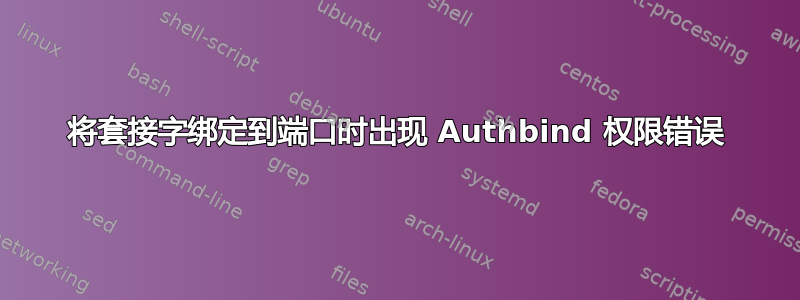 将套接字绑定到端口时出现 Authbind 权限错误