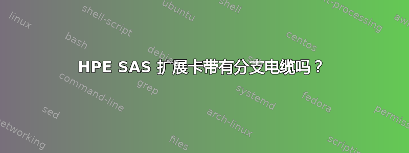 HPE SAS 扩展卡带有分支电缆吗？