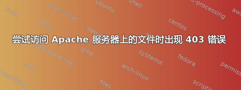 尝试访问 Apache 服务器上的文件时出现 403 错误