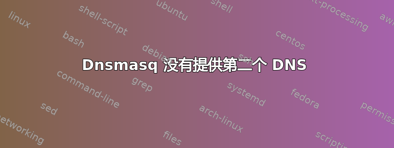 Dnsmasq 没有提供第二个 DNS