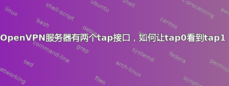 OpenVPN服务器有两个tap接口，如何让tap0看到tap1