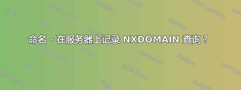 命名 - 在服务器上记录 NXDOMAIN 查询？