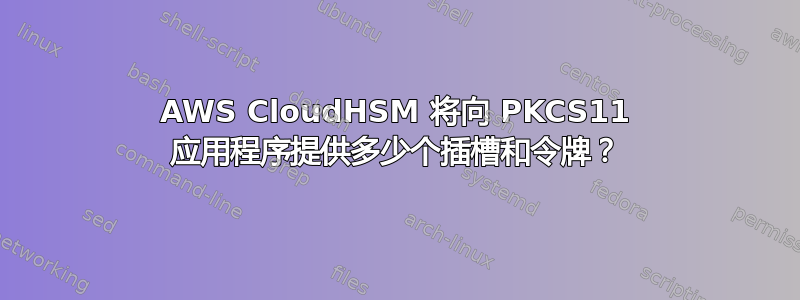 AWS CloudHSM 将向 PKCS11 应用程序提供多少个插槽和令牌？