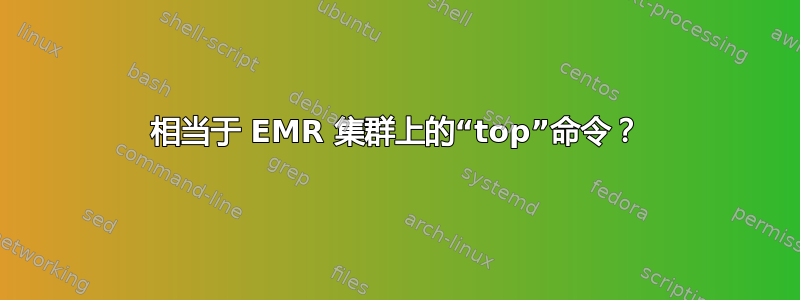 相当于 EMR 集群上的“top”命令？