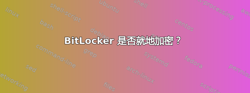 BitLocker 是否就地加密？