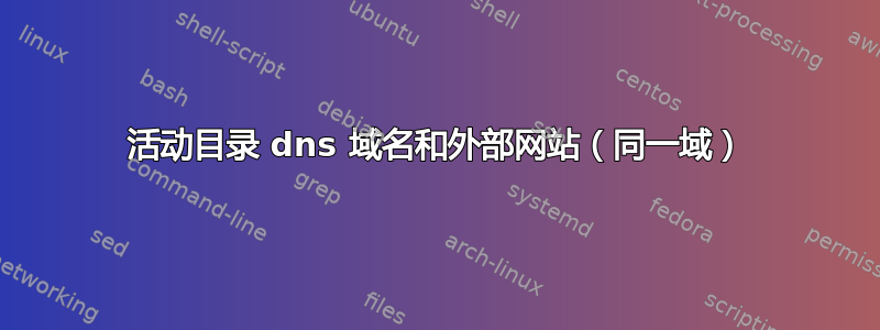 活动目录 dns 域名和外部网站（同一域）