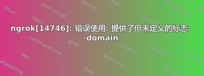 ngrok[14746]: 错误使用: 提供了但未定义的标志: -domain