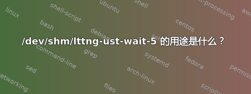 /dev/shm/lttng-ust-wait-5 的用途是什么？