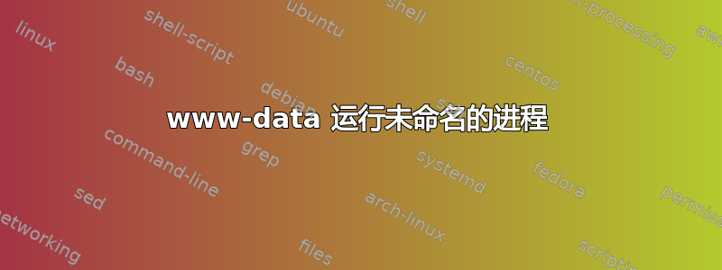 www-data 运行未命名的进程