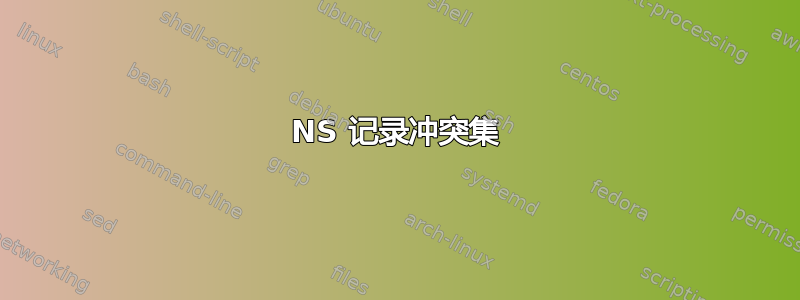 NS 记录冲突集