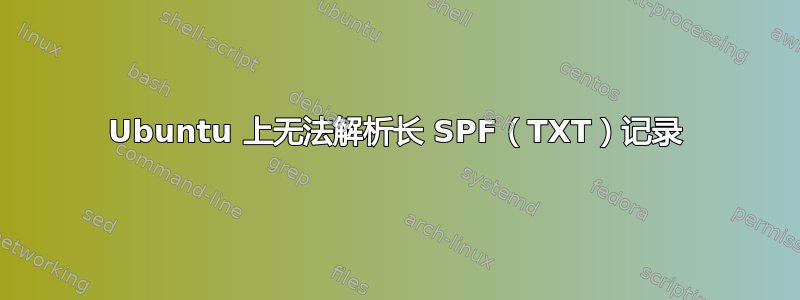 Ubuntu 上无法解析长 SPF（TXT）记录