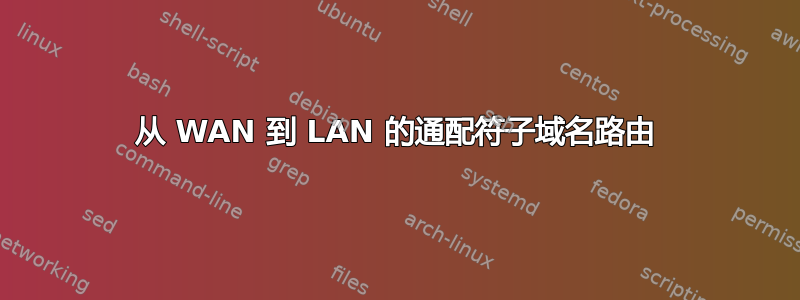 从 WAN 到 LAN 的通配符子域名路由