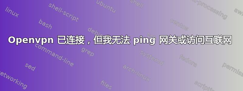 Openvpn 已连接，但我无法 ping 网关或访问互联网