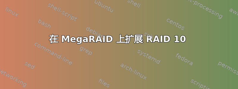 在 MegaRAID 上扩展 RAID 10