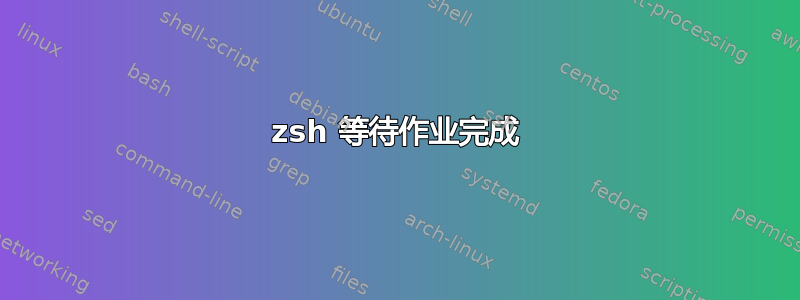 zsh 等待作业完成