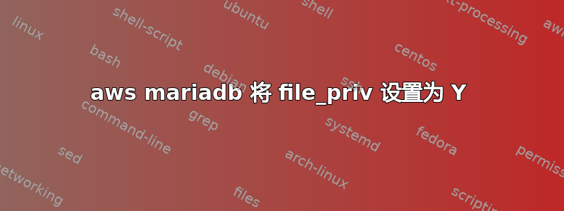 aws mariadb 将 file_priv 设置为 Y