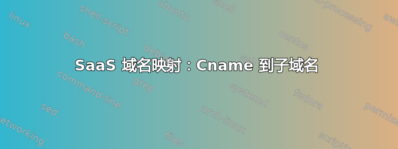 SaaS 域名映射：Cname 到子域名