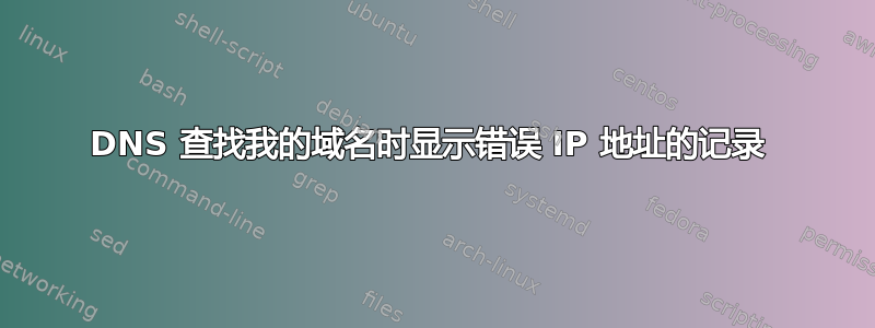 DNS 查找我的域名时显示错误 IP 地址的记录 