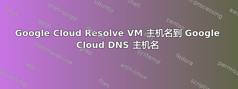 Google Cloud Resolve VM 主机名到 Google Cloud DNS 主机名